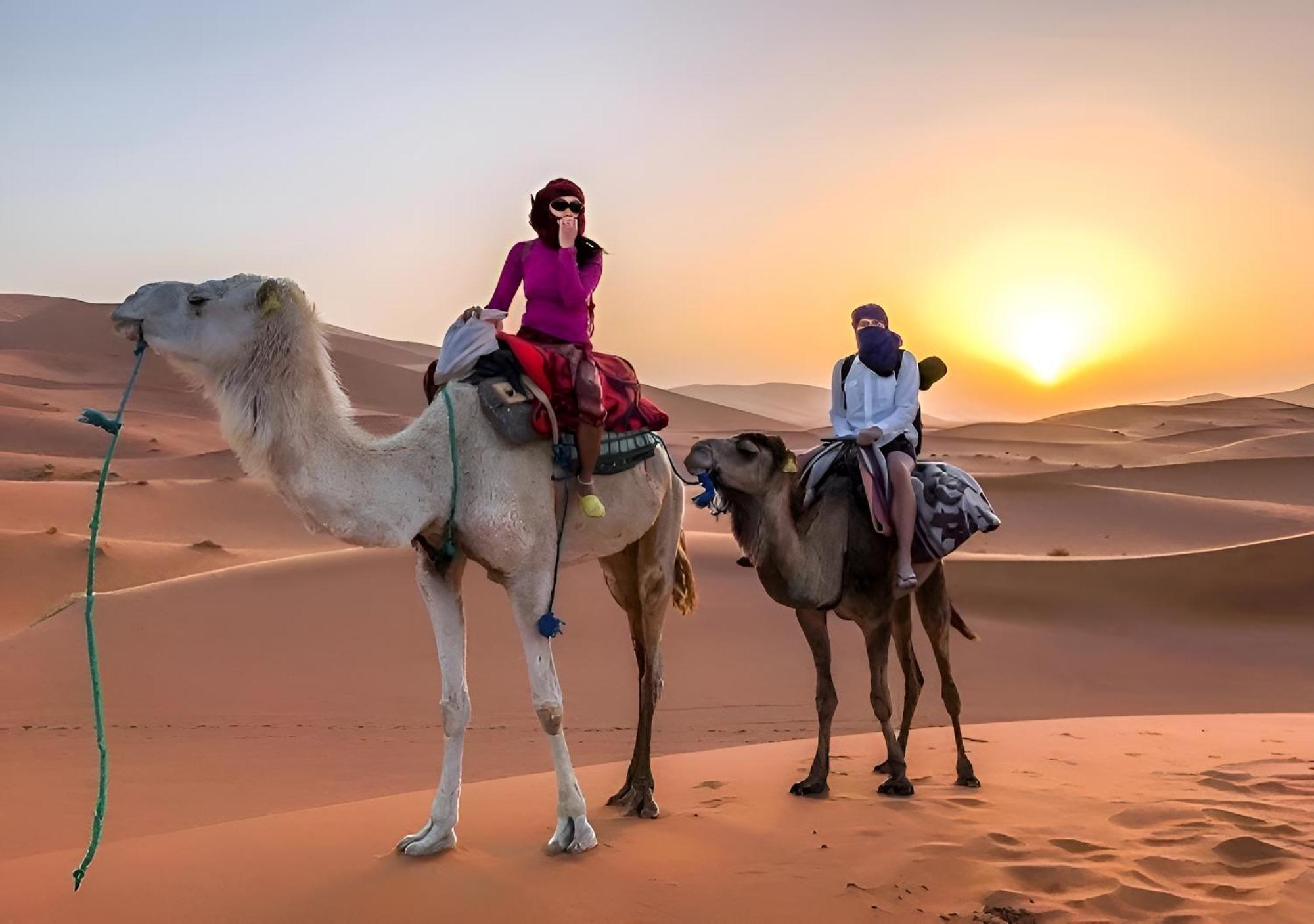 Merzouga Luxurious Tented Extérieur photo